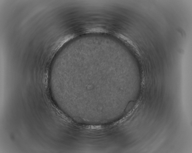 X0000113111313200909251044