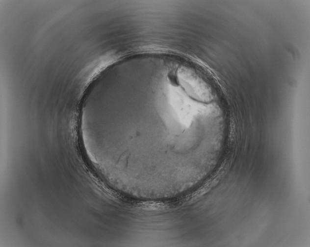 X0000113111314200909251044
