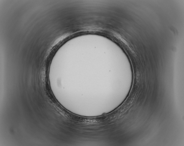 X0000113111315200909251044