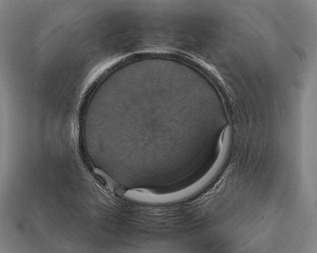 X0000113111319200909251044
