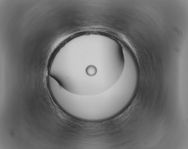 X0000113111320200909251044
