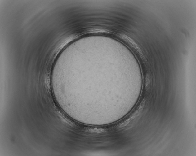 X0000113111321200909251044