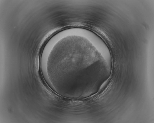 X0000113111323200909251044