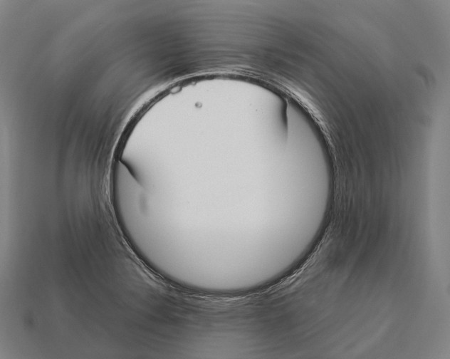 X0000113111324200909251044