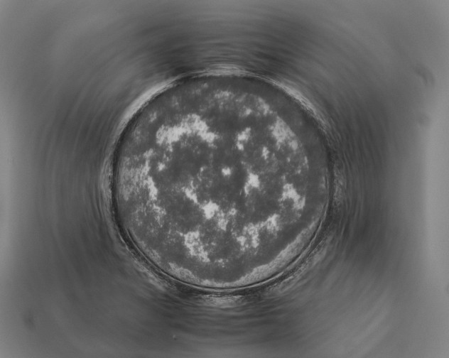 X0000113111325200909251044