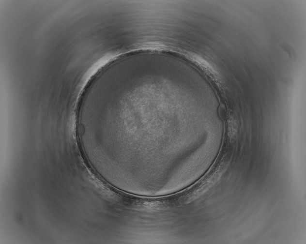 X0000113111326200909251044