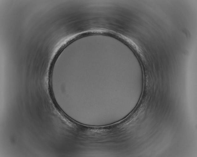 X0000113111327200909251044