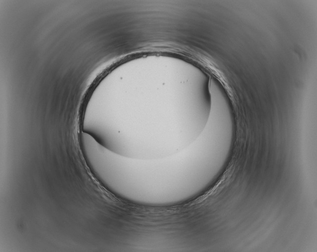 X0000113111328200909251044