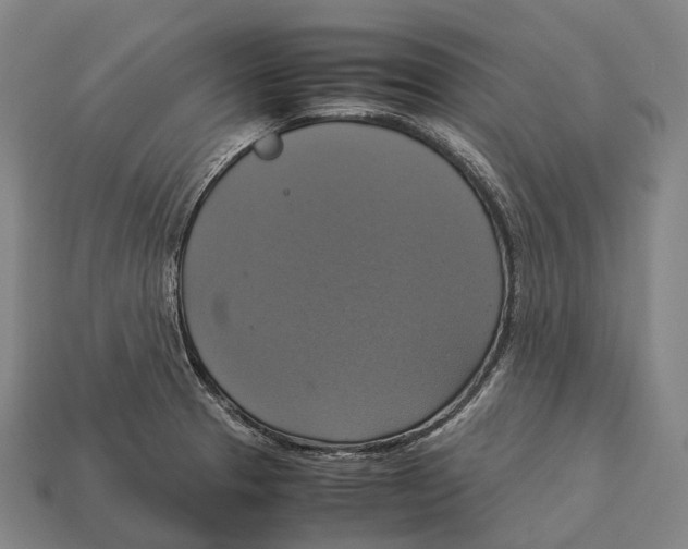 X0000113111329200909251044
