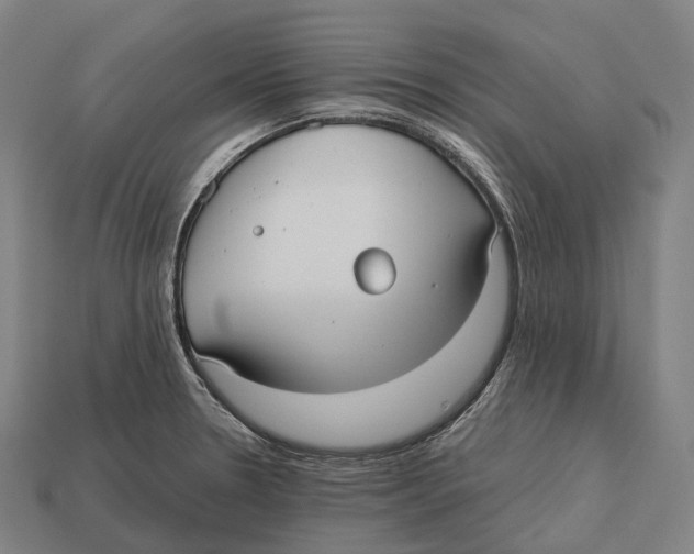 X0000113111330200909251044