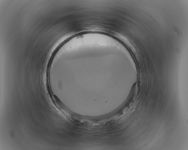 X0000113111331200909251044
