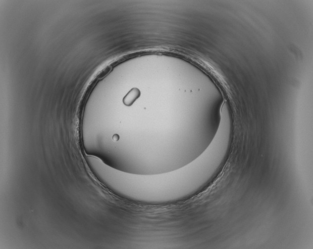 X0000113111332200909251044