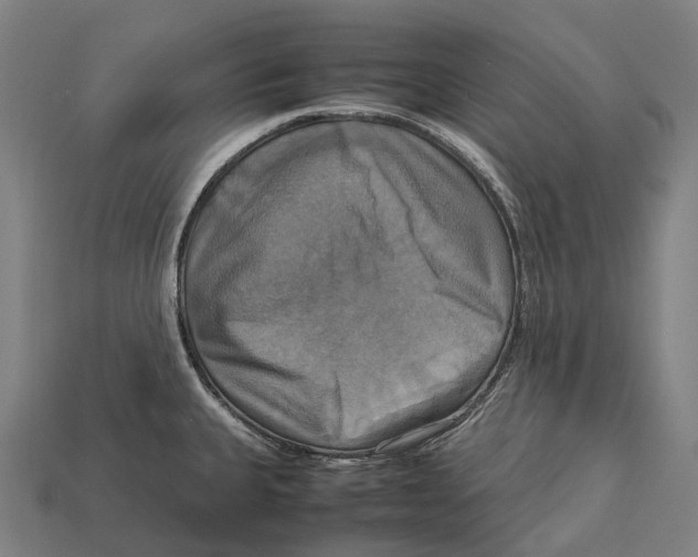 X0000113111335200909251044