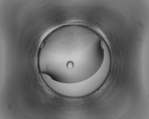 X0000113111336200909251044