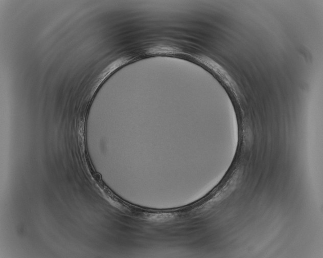 X0000113111337200909251044