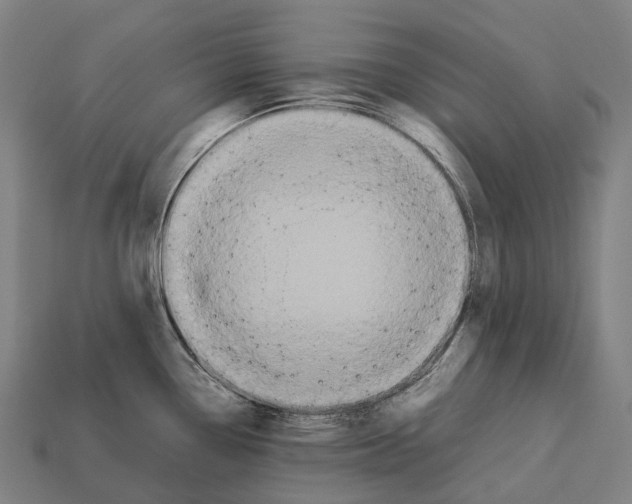 X0000113111338200909251044