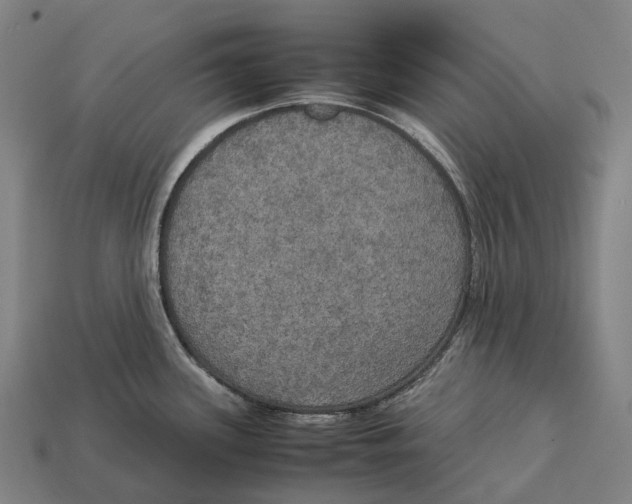 X0000113111339200909251044