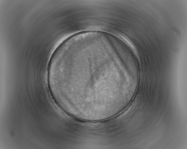 X0000113111340200909251044