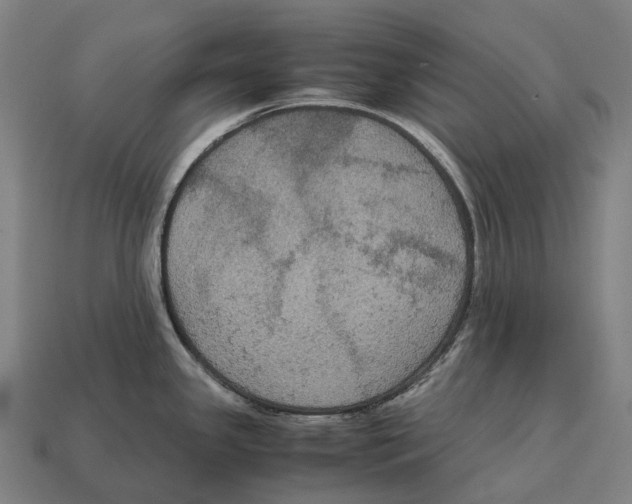 X0000113111341200909251044