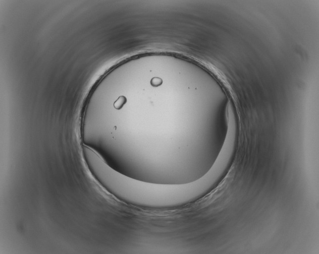 X0000113111342200909251044