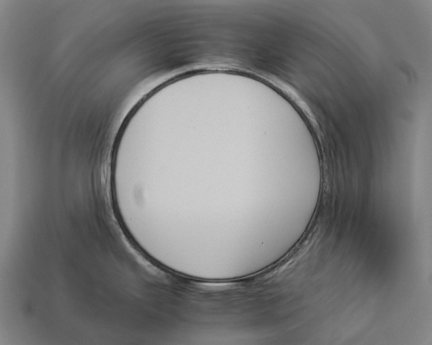 X0000113111343200909251044