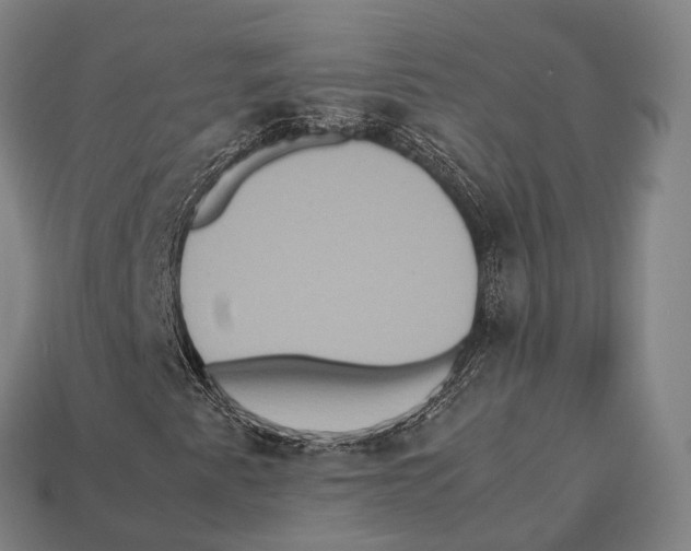 X0000113111345200909251044