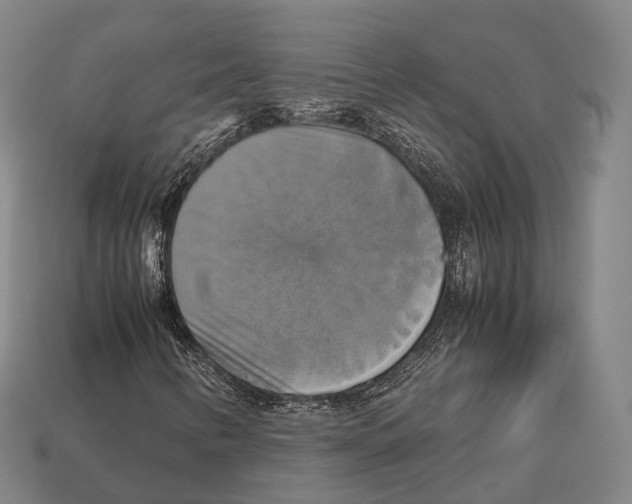X0000113111346200909251044