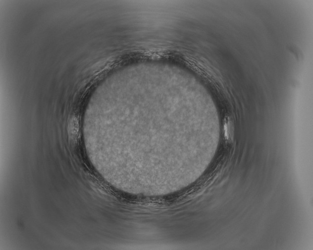 X0000113111347200909251044
