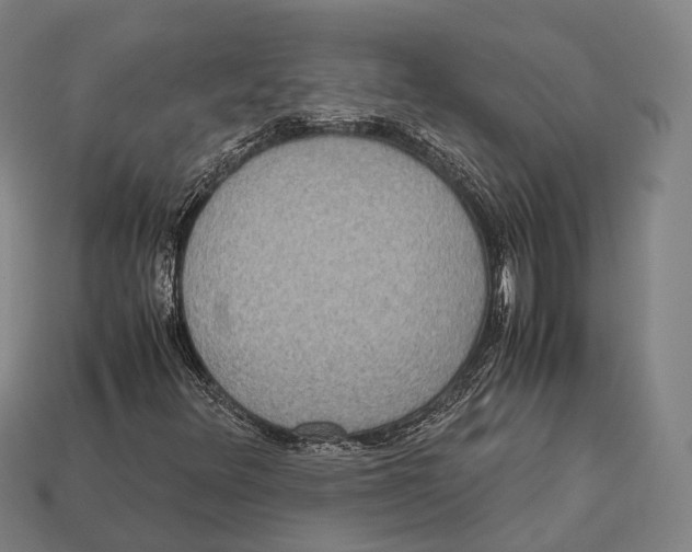 X0000113111348200909251044