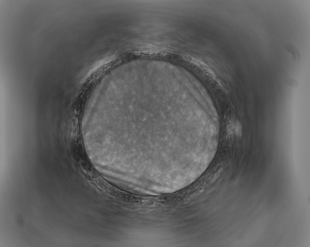 X0000113111350200909251044