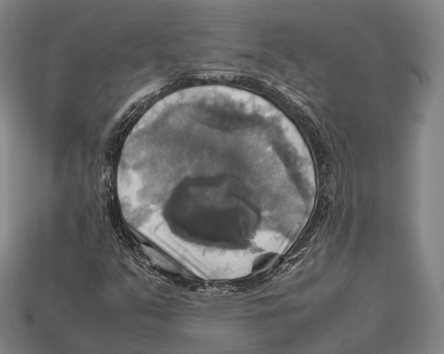 X0000113111351200909251044