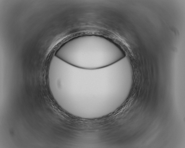 X0000113111352200909251044