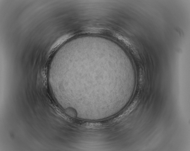 X0000113111354200909251044