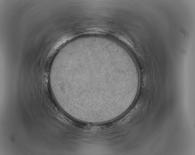 X0000113111355200909251044