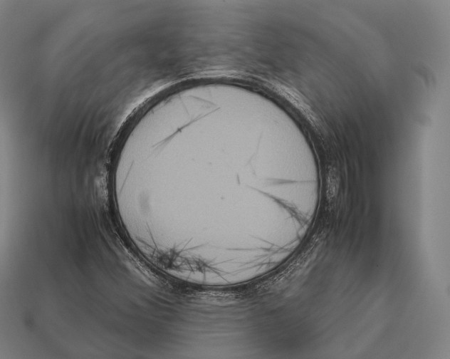 X0000113111356200909251044