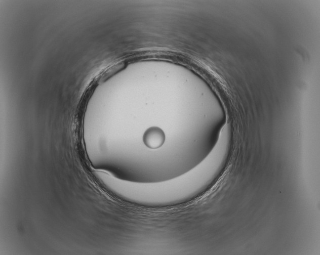 X0000113111357200909251044
