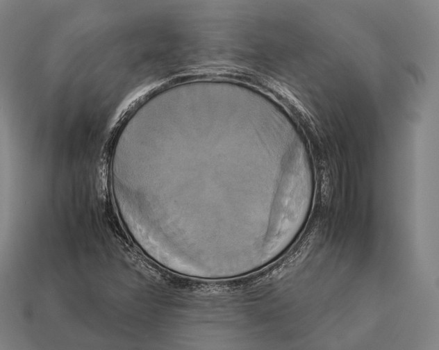 X0000113111358200909251044