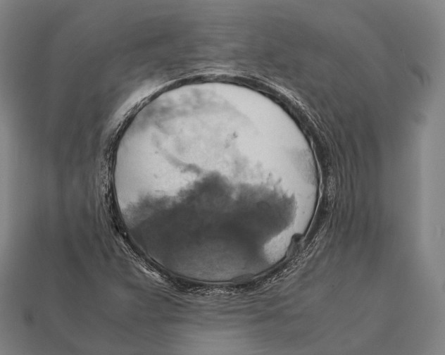 X0000113111359200909251044
