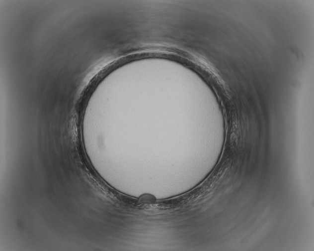 X0000113111360200909251043