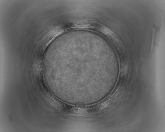 X0000113111361200909251043