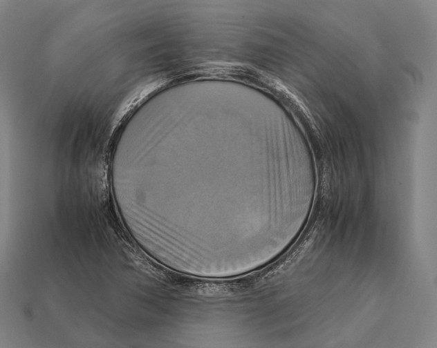 X0000113111362200909251043