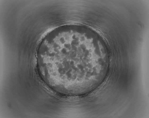 X0000113111363200909251043