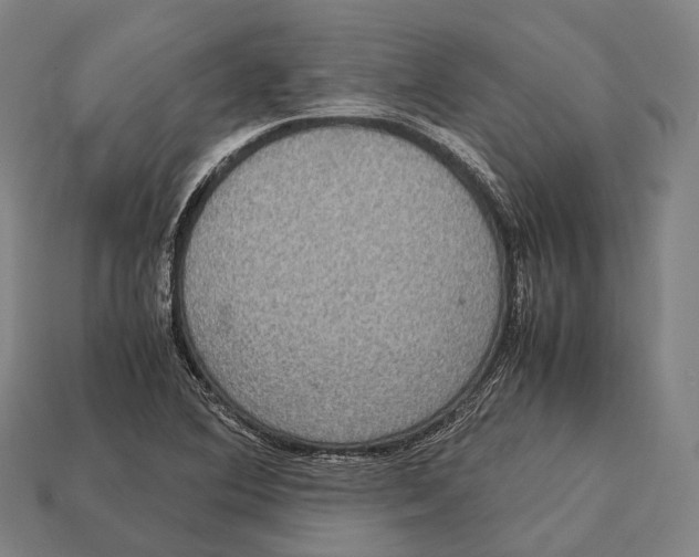 X0000113111364200909251043
