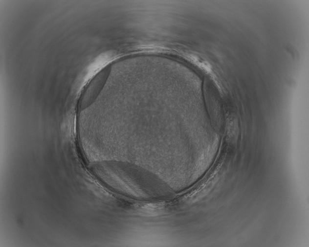 X0000113111365200909251043