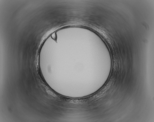 X0000113111366200909251043