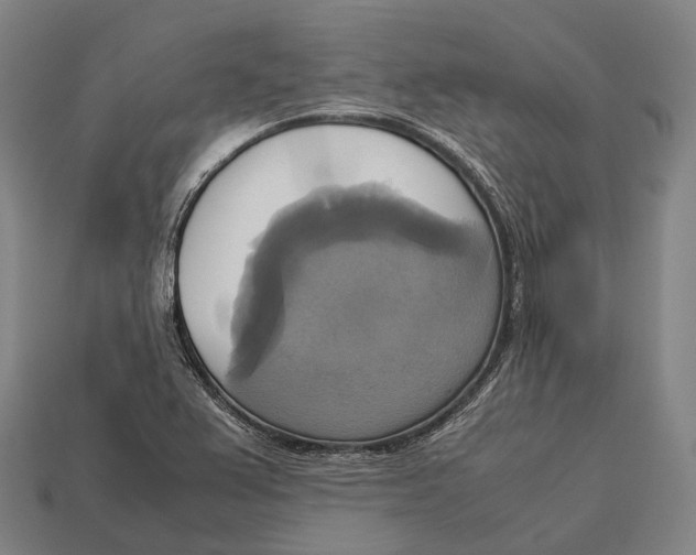 X0000113111367200909251043