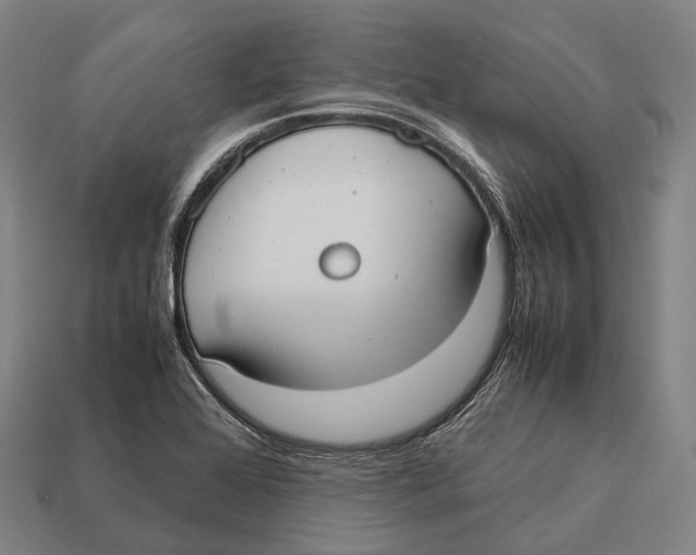 X0000113111368200909251043