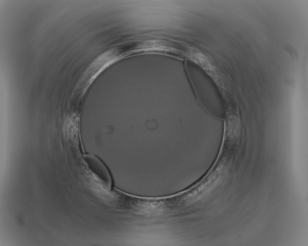 X0000113111369200909251043