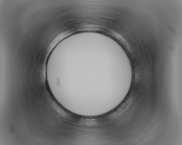 X0000113111370200909251043