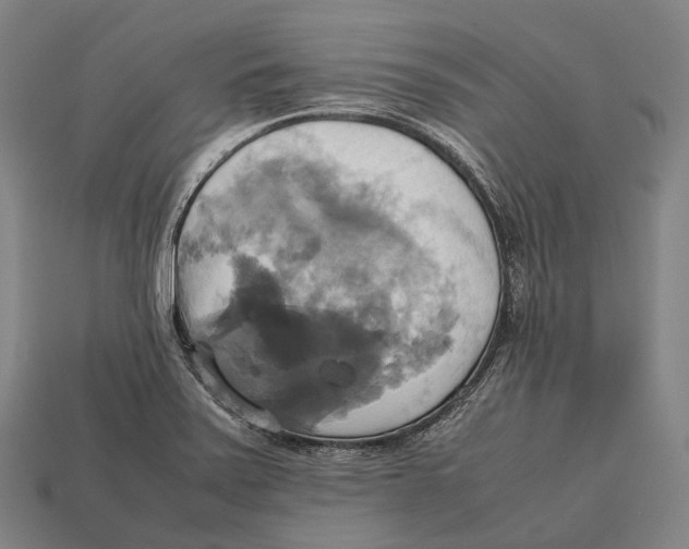 X0000113111371200909251043